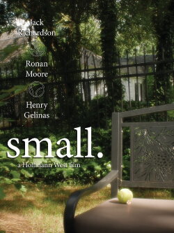small (2022)