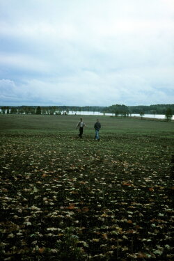 Small Game (2009)