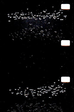 Small Things Moving in Unison (2018)