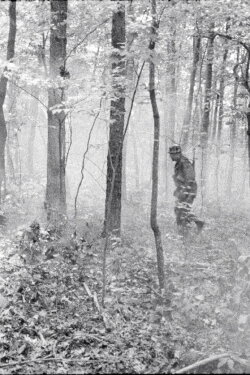 Small Wars (2002)