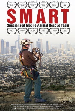Smart (2015)