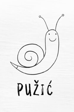 Snail the Painter (2018)