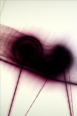 Snail Trail (2013) Snail Trail (2013)