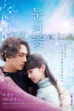 Snow Flower (2019) Snow Flower (2019)