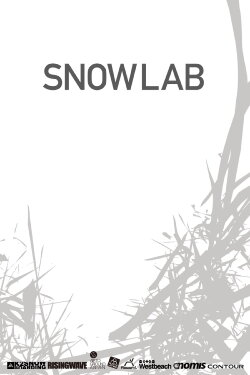 Snow Lab (2012)