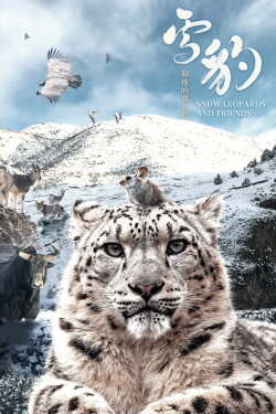Snow Leopards and Friends (2023) Snow Leopards and Friends (2023)