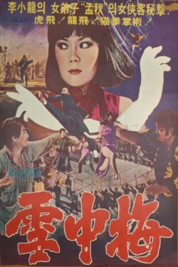 Snow Plum Blossom (1976) Snow Plum Blossom (1976)