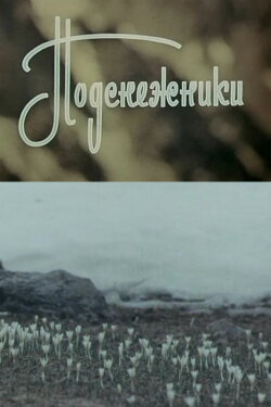 Snowdrops (1974)