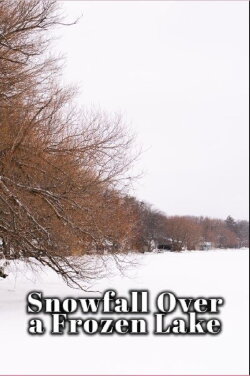 Snowfall Over a Frozen Lake (2023)