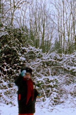 Snowflakes (2022)
