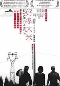 So Much Rice (2005)