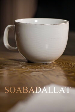 Soabadallat (2025) Soabadallat (2025)