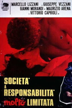 Società a responsabilità molto limitata (1973) Società a responsabilità molto limitata (1973)