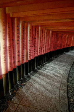 Soft Pong Inari (2015) Soft Pong Inari (2015)