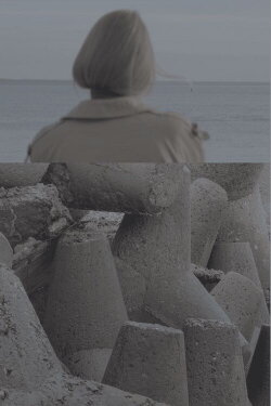Soil (2024)