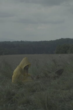 Soil Stories (2018)