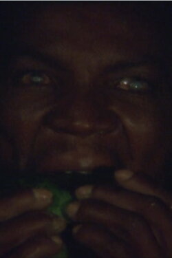 Solar, the Blindman Eating a Papaya (2011) Solar, the Blindman Eating a Papaya (2011)