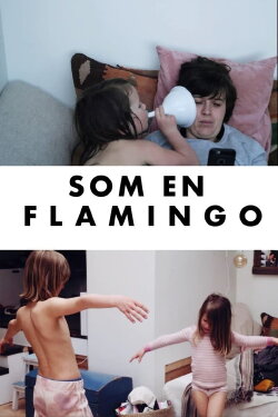 Som en flamingo (2020) Som en flamingo (2020)