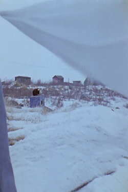 Some Natives of Churchill (1973) Some Natives of Churchill (1973)