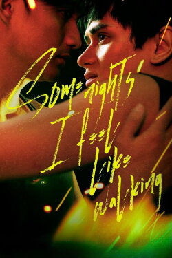 Some Nights I Feel Like Walking (2025) Some Nights I Feel Like Walking (2025)