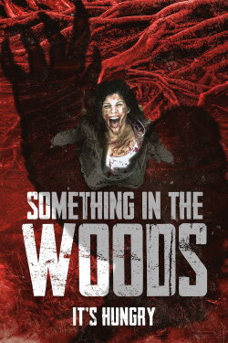 Something in the Woods (2022) Something in the Woods (2022)