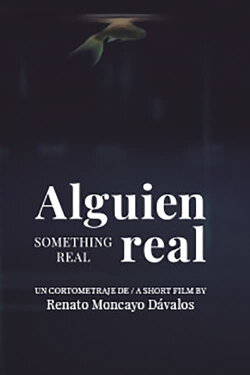 Something Real (2017) Something Real (2017)
