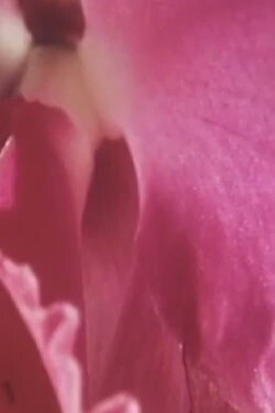 Something Within Me (1975)