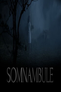 Somnambule (2016) Somnambule (2016)