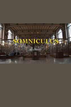 Somniculus (2017)