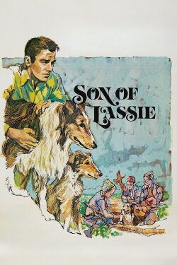 Son of Lassie (1945) Son of Lassie (1945)