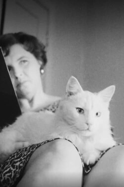 Sõnadeta lugu (1964) Sõnadeta lugu (1964)