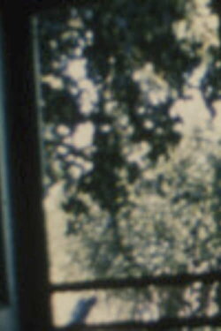 Song 19 (1966)