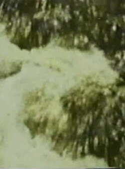 Song 3 (1964) Song 3 (1964)