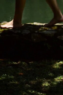 Sonho Verde (2020)