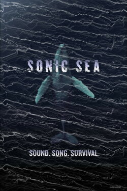 Sonic Sea (2016) Sonic Sea (2016)