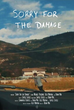 Sorry For the Damage (2016)
