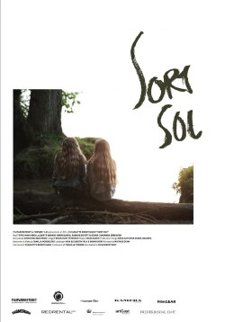 Sort sol (2014) Sort sol (2014)