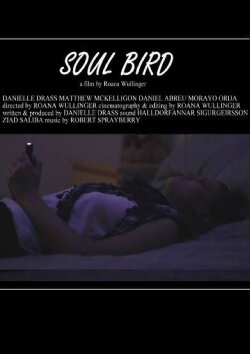 Soul Bird (2014)