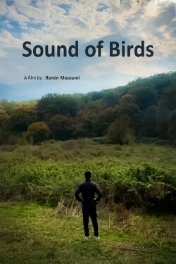 Sound of birds (2024) Sound of birds (2024)