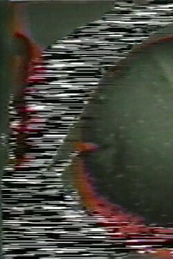 Soundgated Images (1974)
