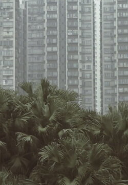 South Horizons (2015) South Horizons (2015)