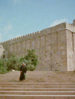 Souvenirs from Hebron (1982) Souvenirs from Hebron (1982)