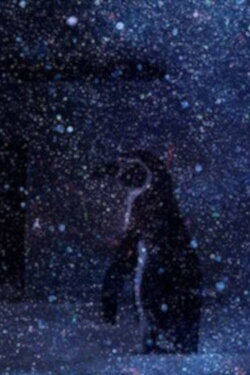 Space Noise Calling (2016)