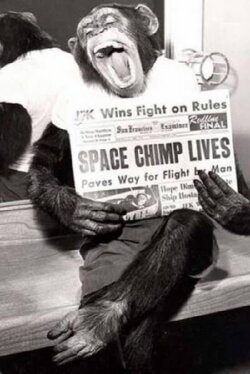 Spacechimp (2008)