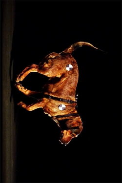 SpaceTimeDog (2010)