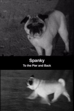 Spanky: To the Pier and Back (2008) Spanky: To the Pier and Back (2008)