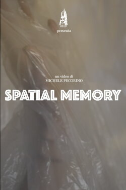 Spatial Memory (2022) Spatial Memory (2022)