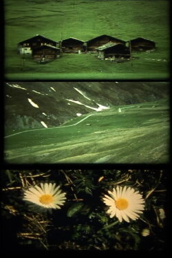 Spaziergänge (1987)