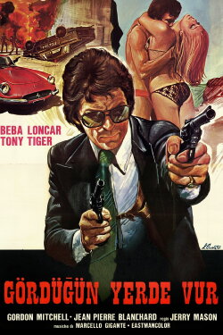 Special Squad Shoots on Sight (1976)