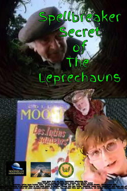 Spellbreaker: Secret of the Leprechauns (1996) Spellbreaker: Secret of the Leprechauns (1996)